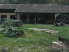PA110267