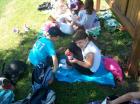Picture 029